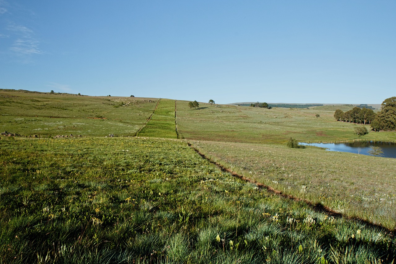 grassland countryside landscape free photo