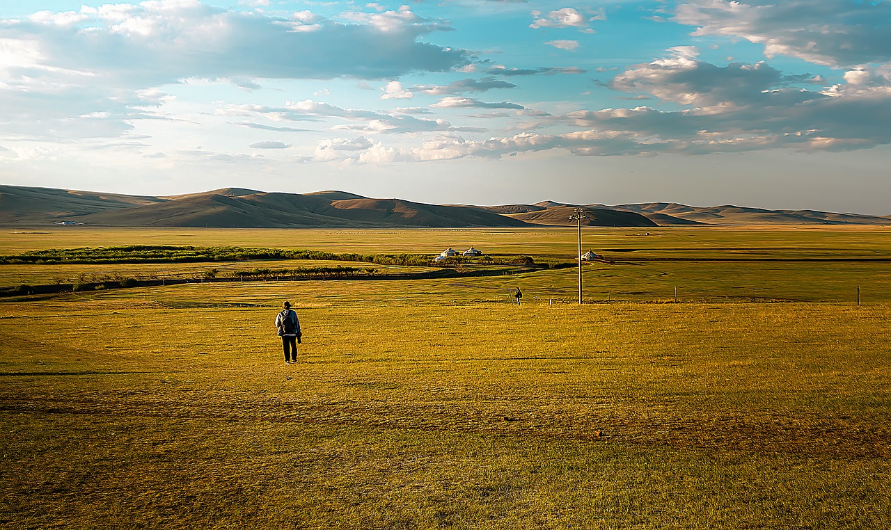 grassland  man  people free photo