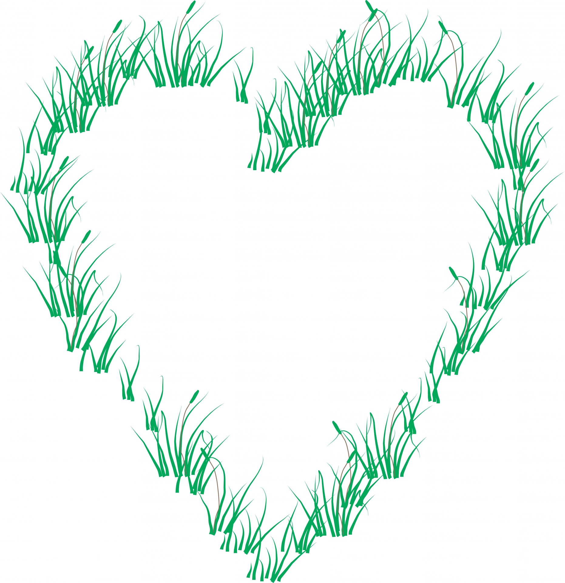 heart grass green free photo