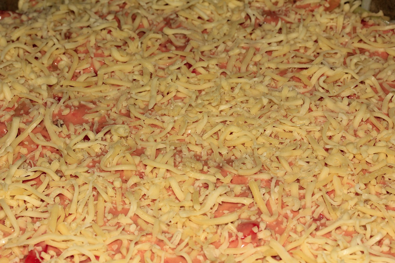 grated cheese pizza free photo