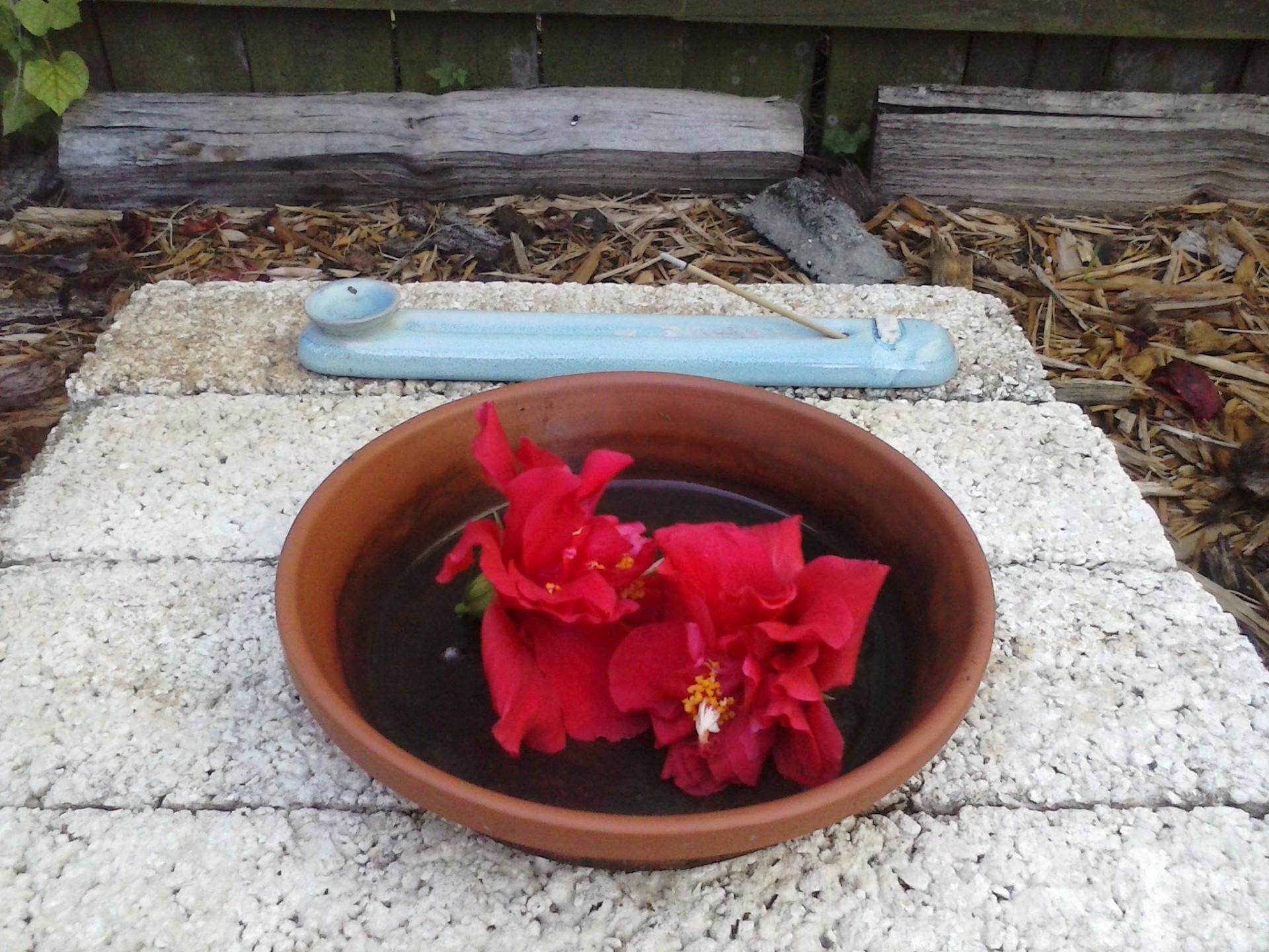 altar buddhism offering bowl free photo