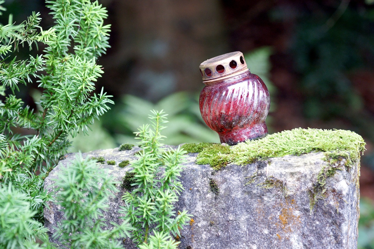 grave light candle burn free photo