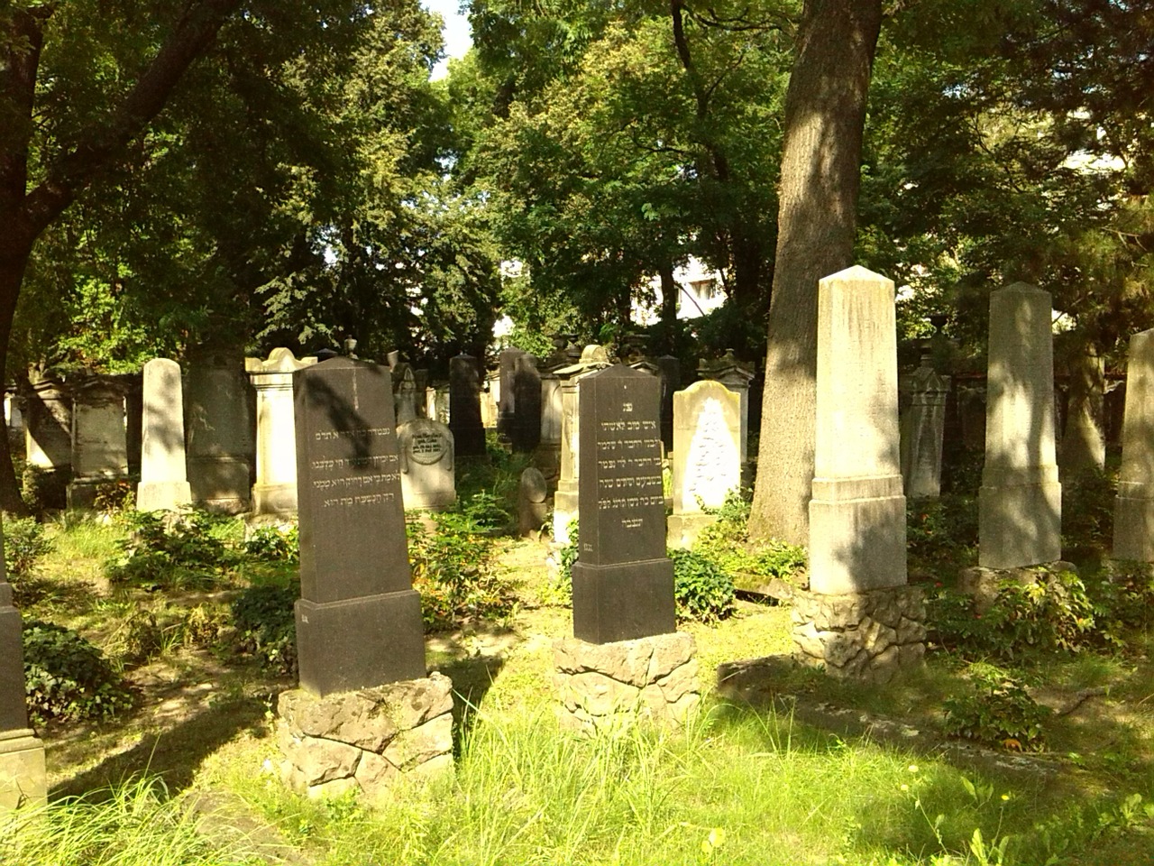 grave stones graves magdeburg free photo