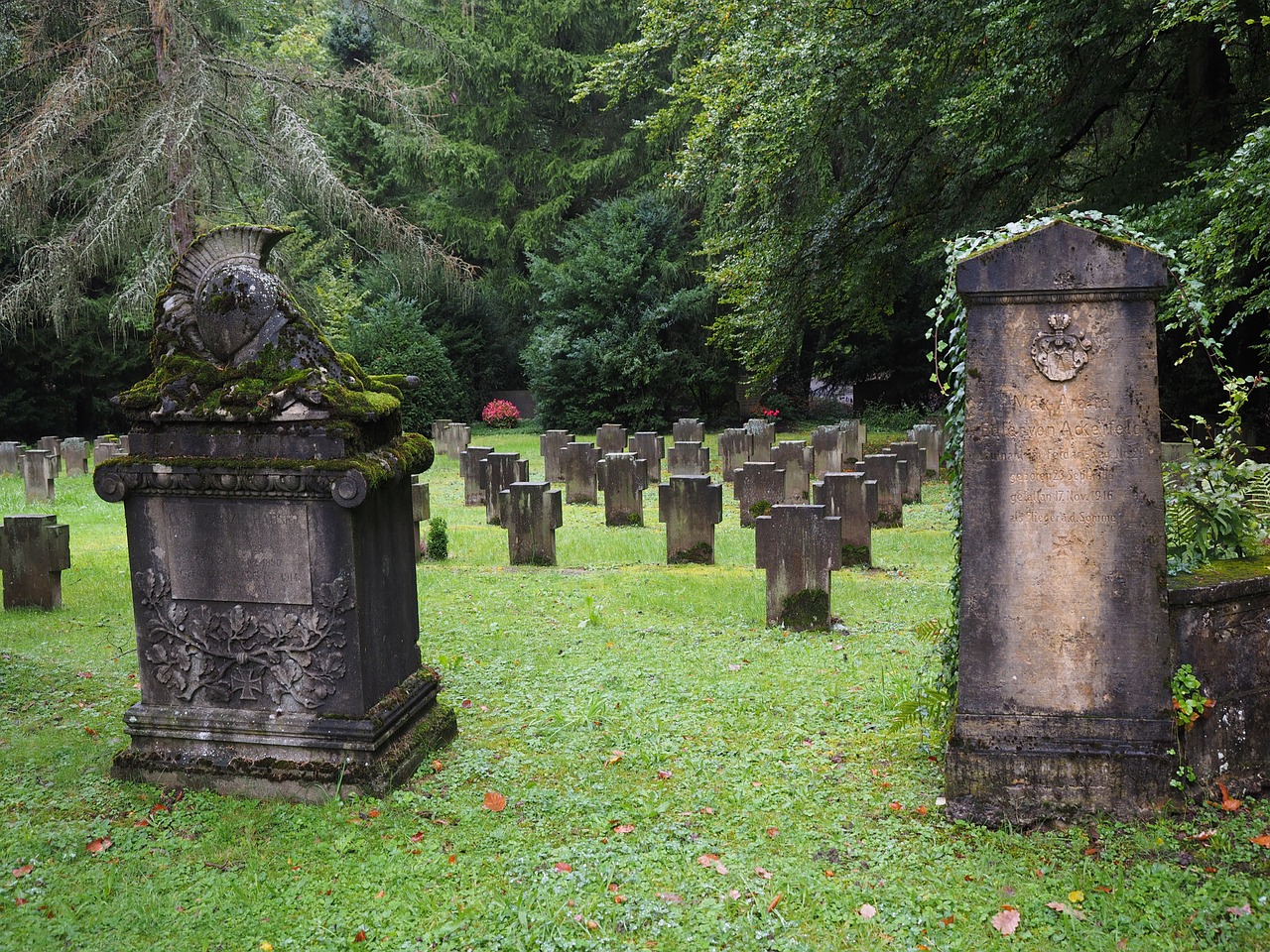 grave stones forest cemetery stuttgart cemetery free photo