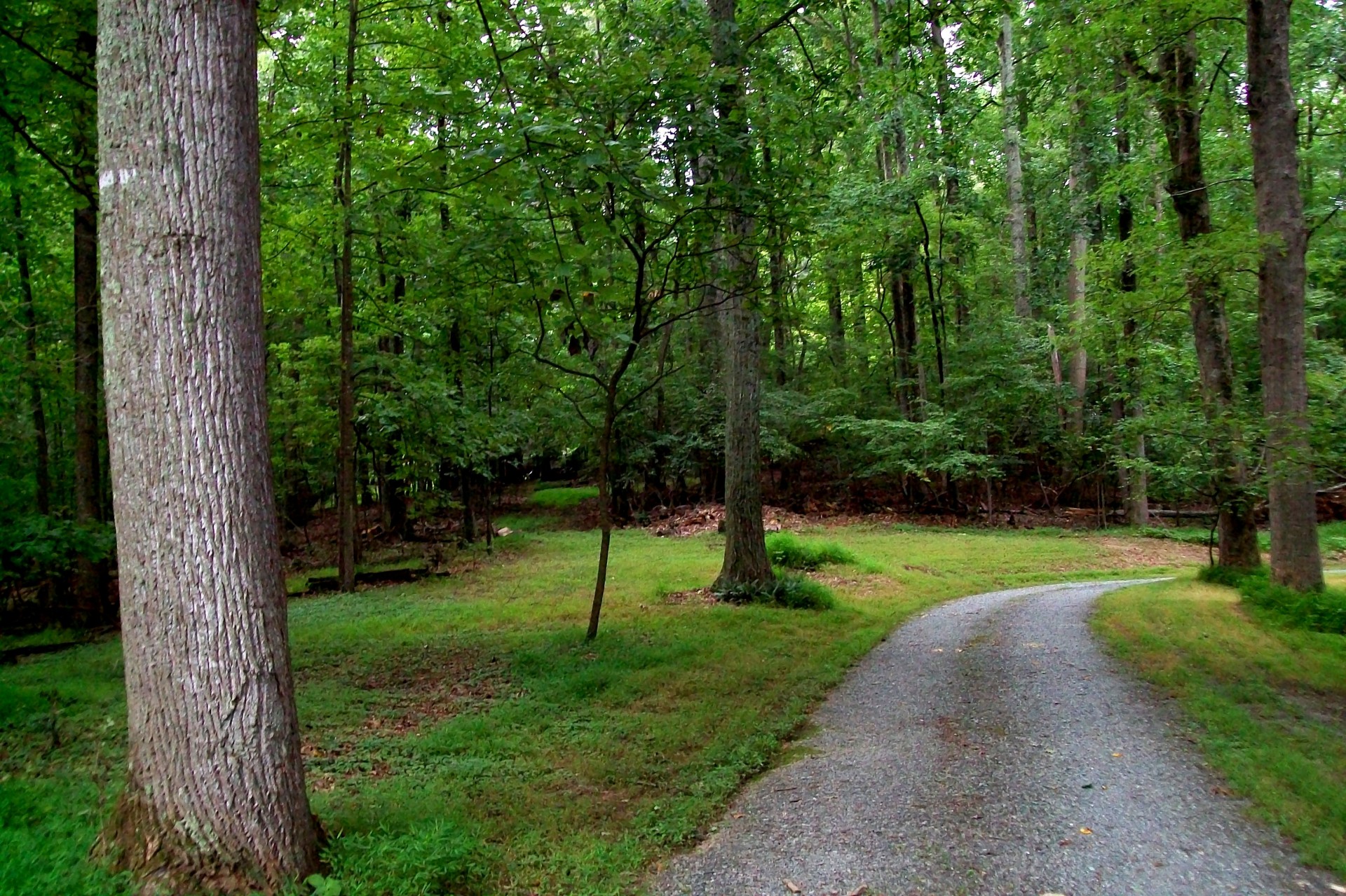 gravel driveway road free photo