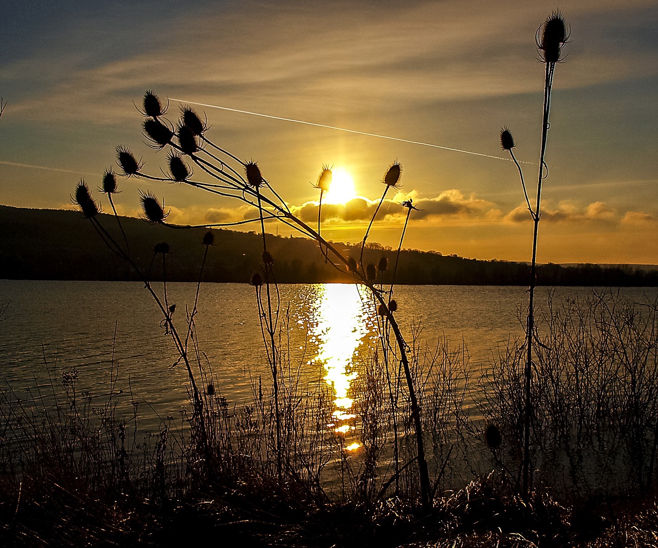 gravel pond pond water free photo