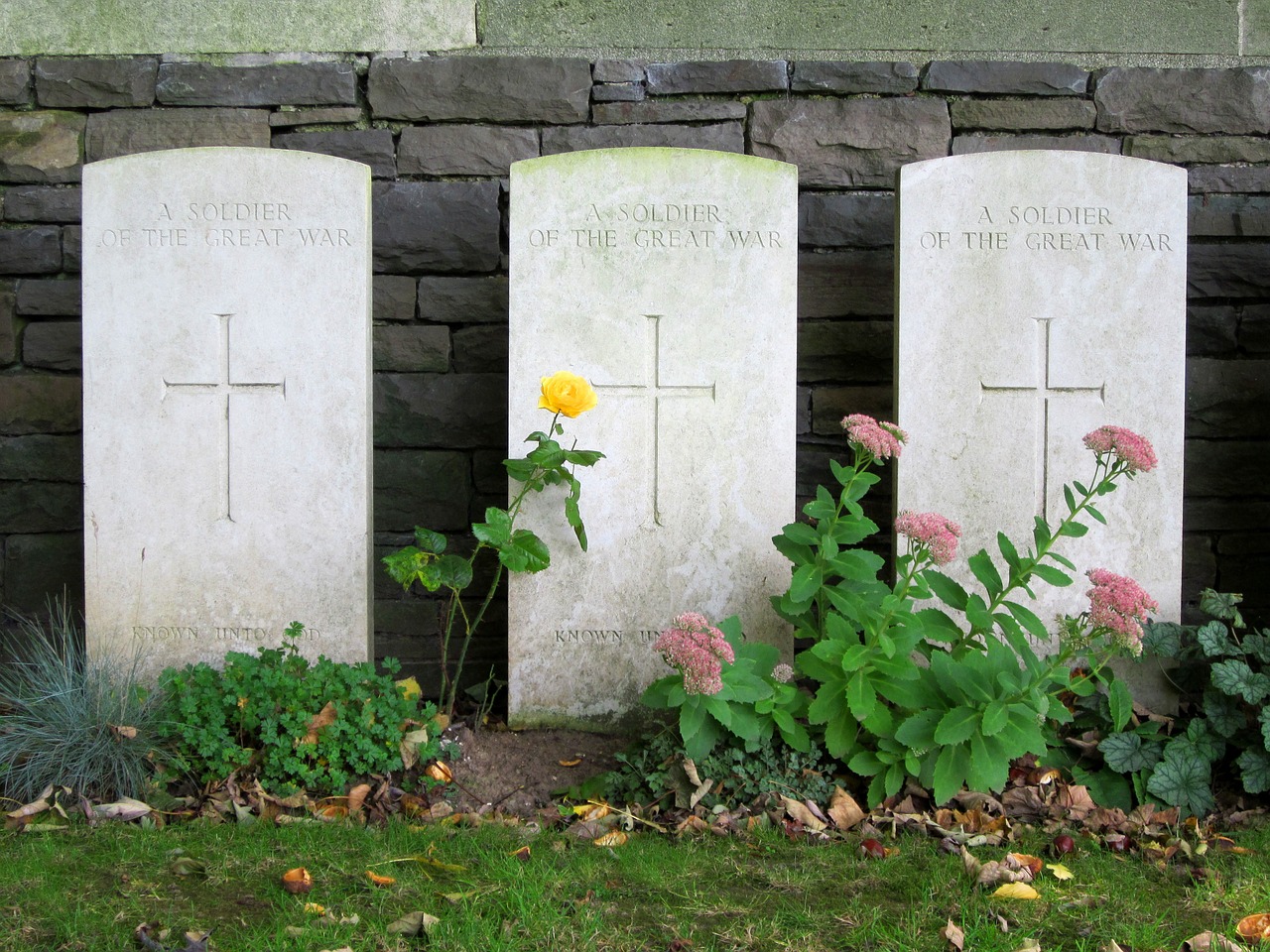 graves canadian cemetery free photo