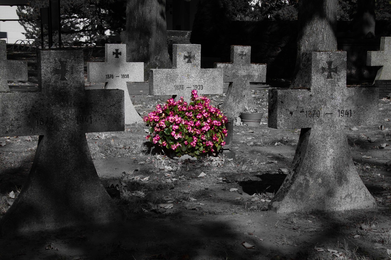 graves  mourning  cemetery free photo