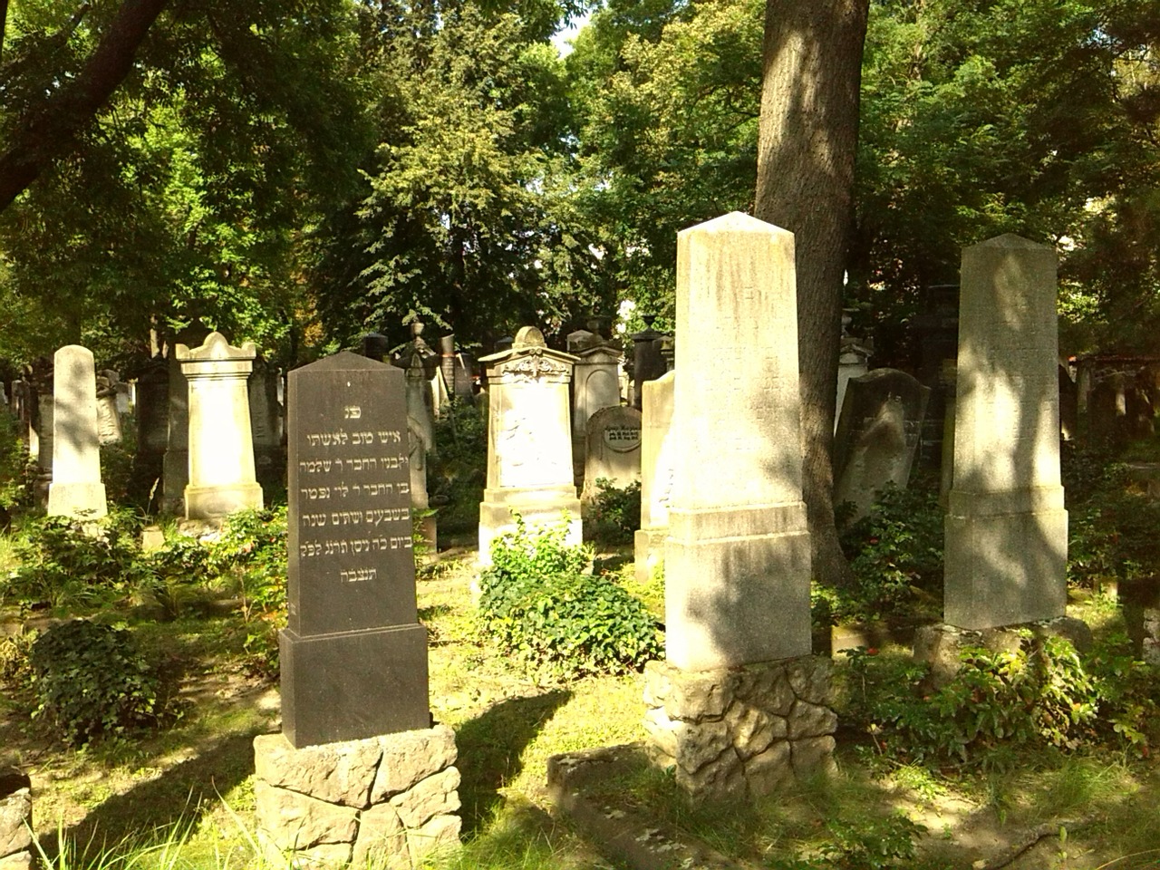 graves grave stones magdeburg free photo