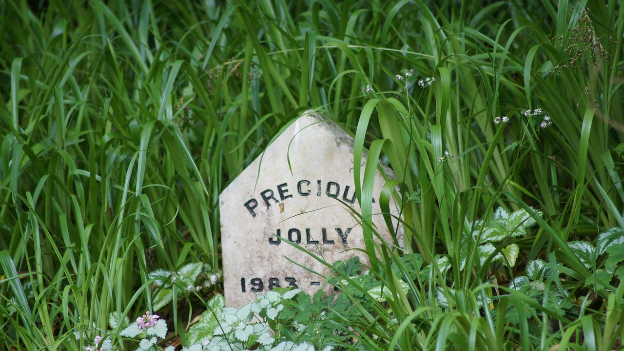 gravestone dog grave memories free photo