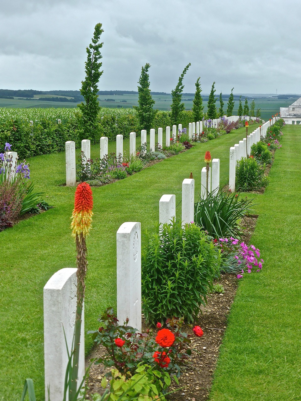 gravestones commemoration military free photo