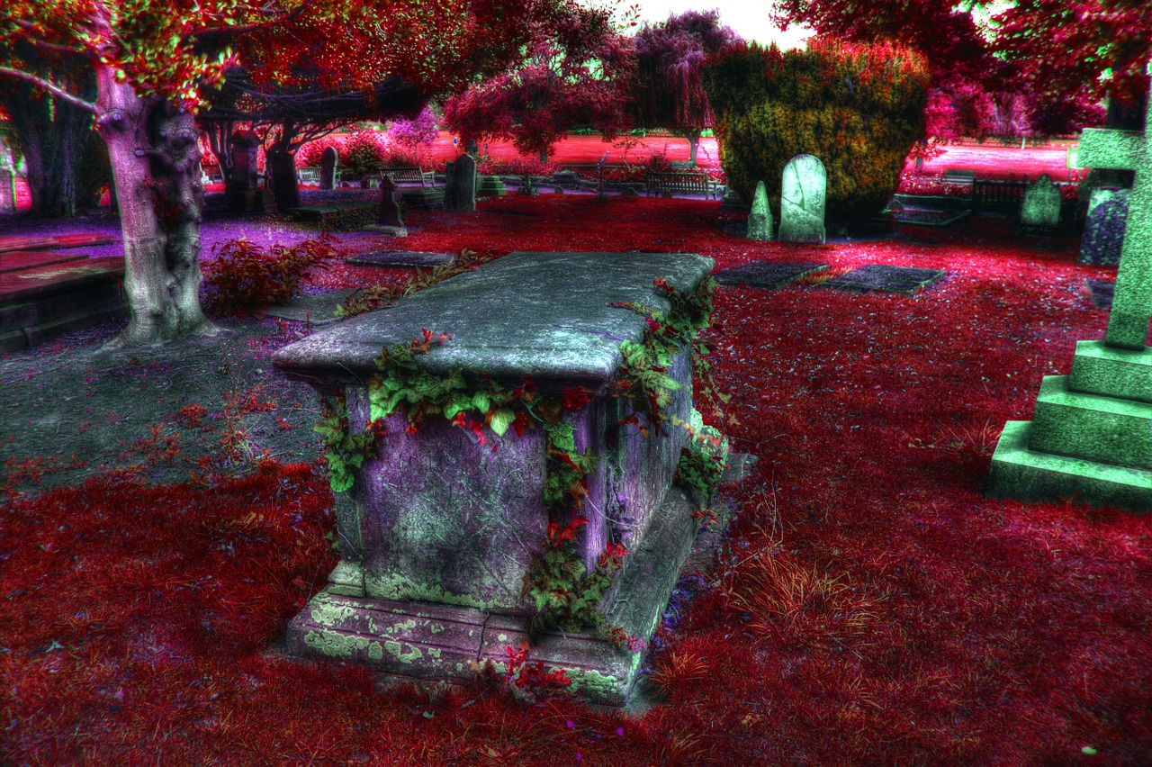 graveyard cemetery grave free photo