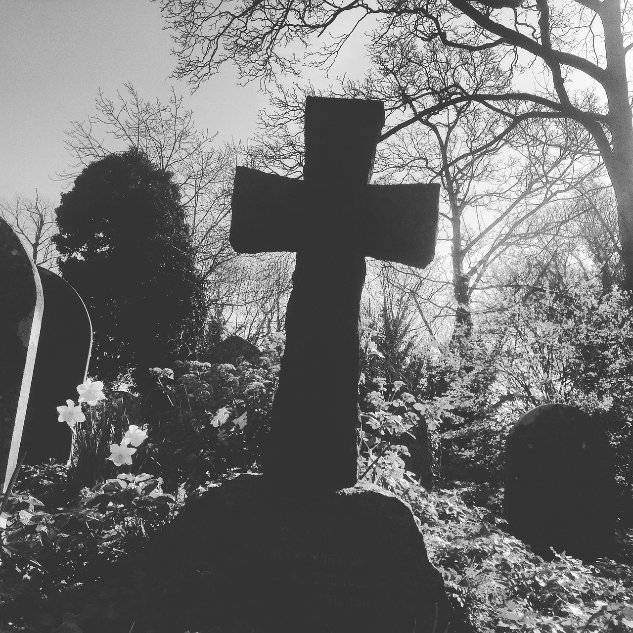 graveyard crucifix halloween free photo