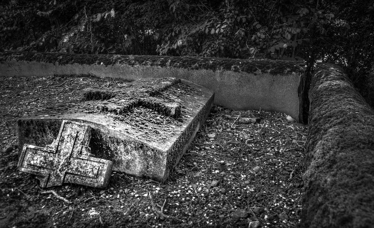 graveyard graves tree free photo