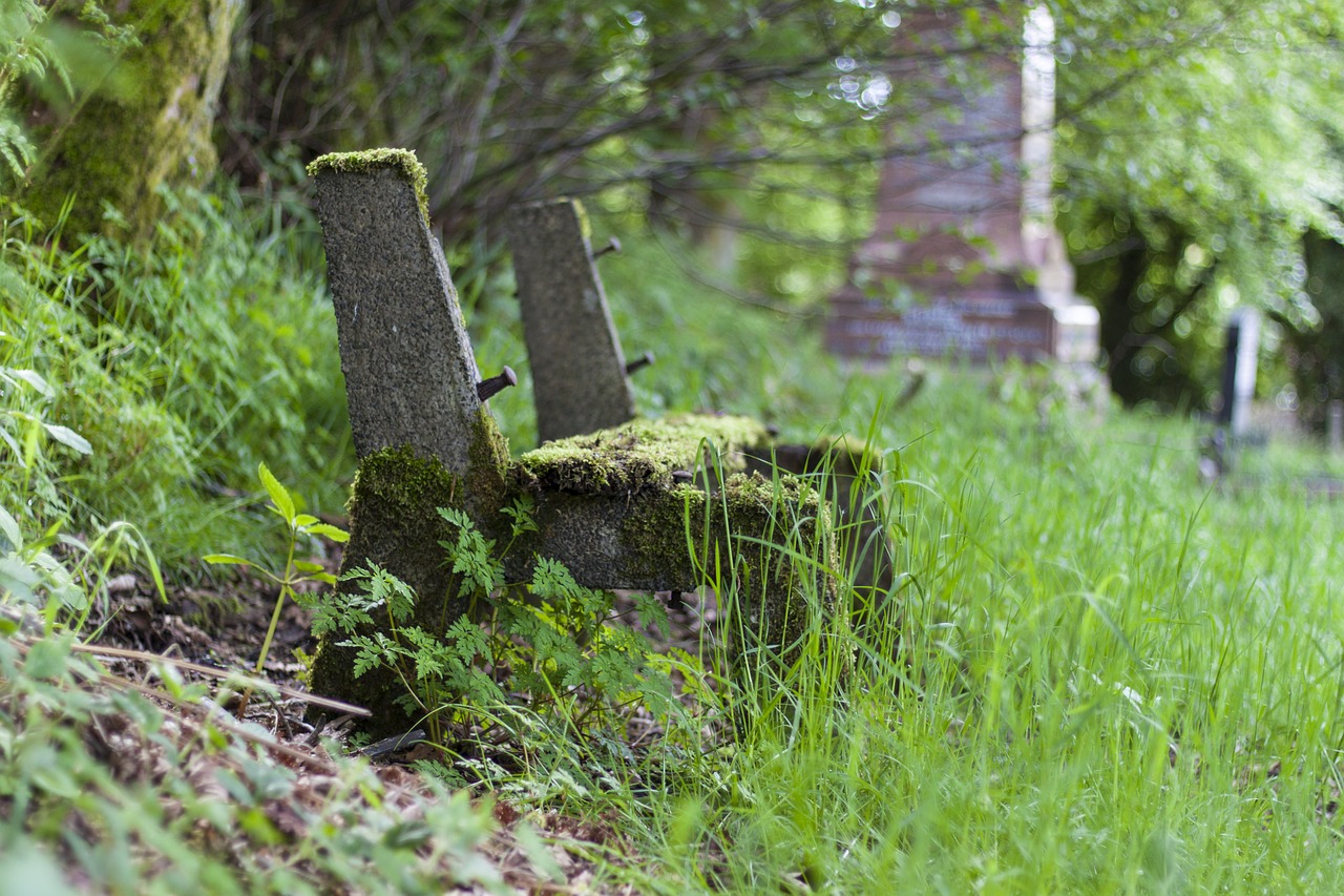 graveyard bench seat free photo