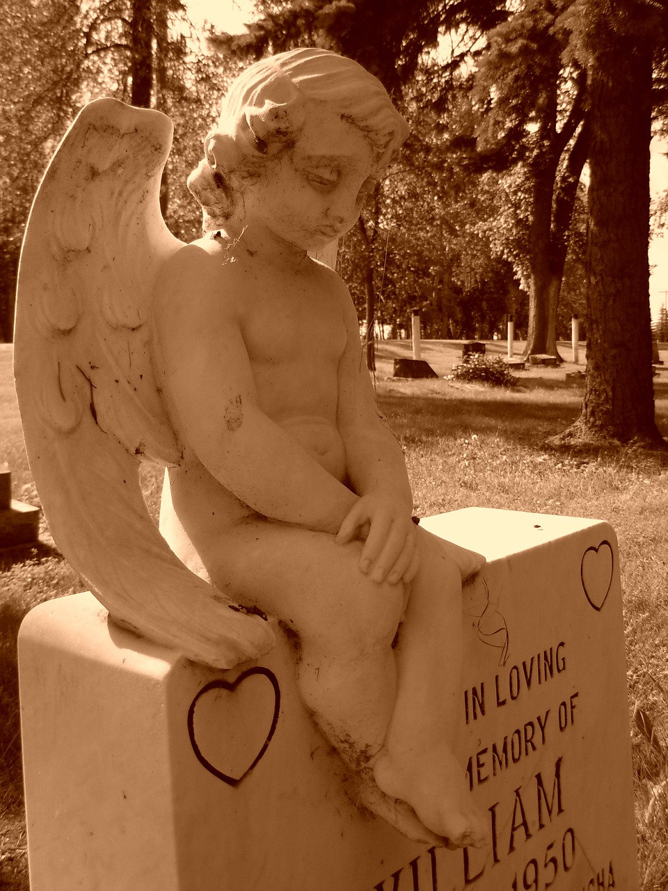 graveyard  grave  angel free photo