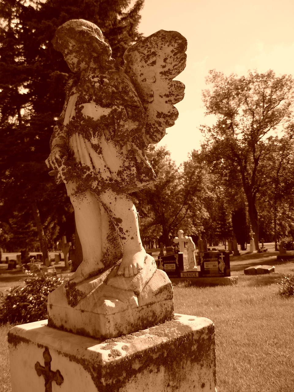 graveyard  grave  angel free photo