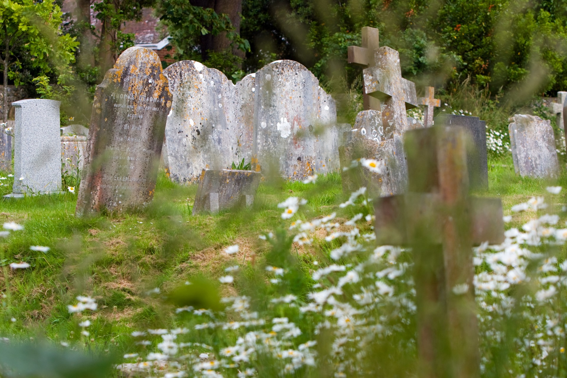 graveyard headstone headstones free photo