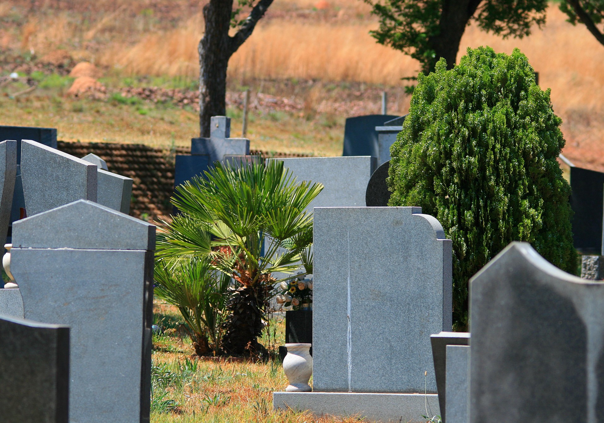 cemetery graves headstones free photo