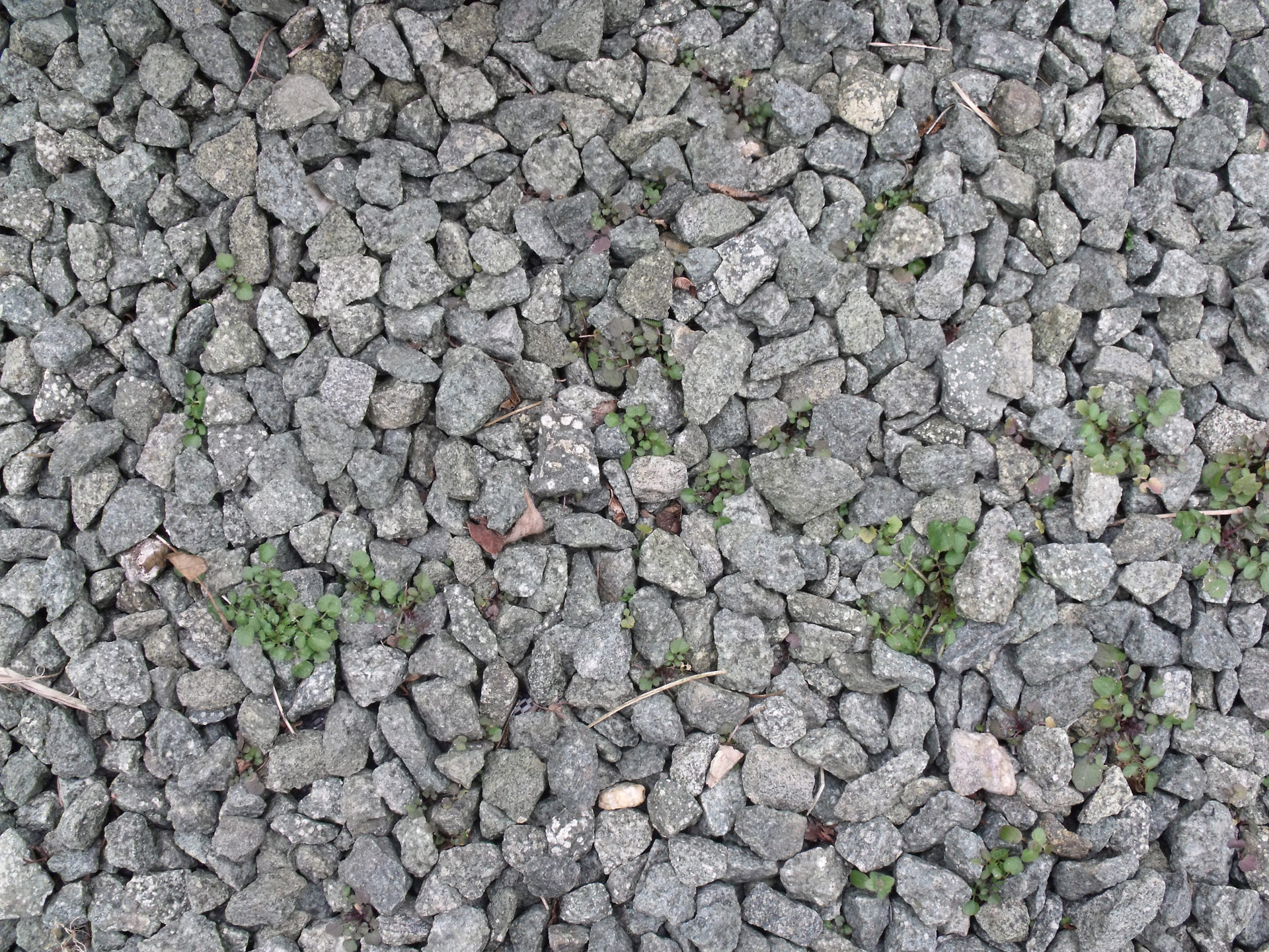 gray pebbles background free photo