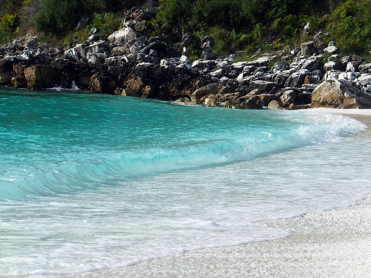 great beach water free photo