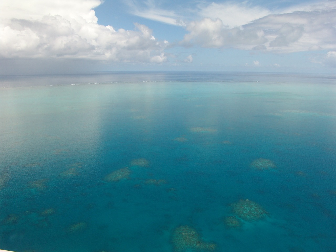 great barrier reef diving coral free photo