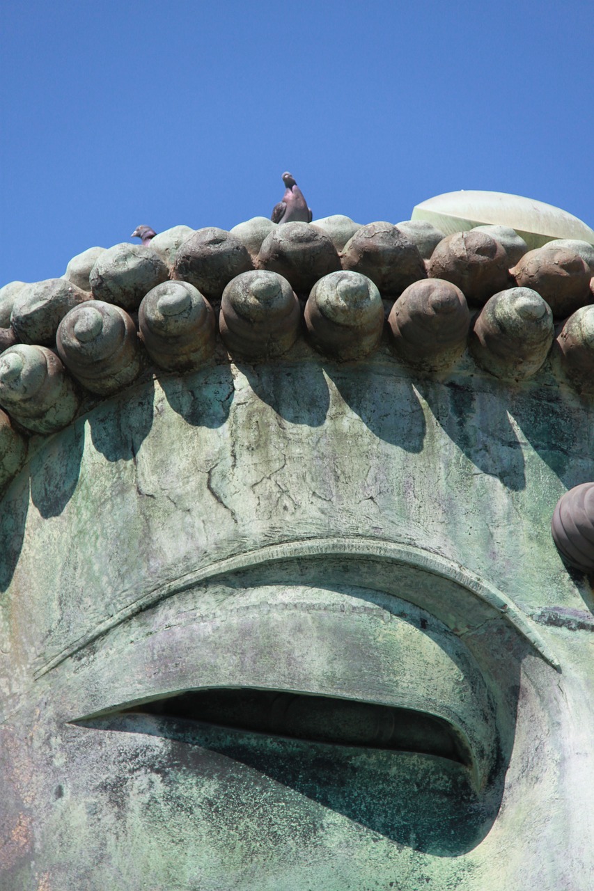 great buddha doves on the head statue free photo