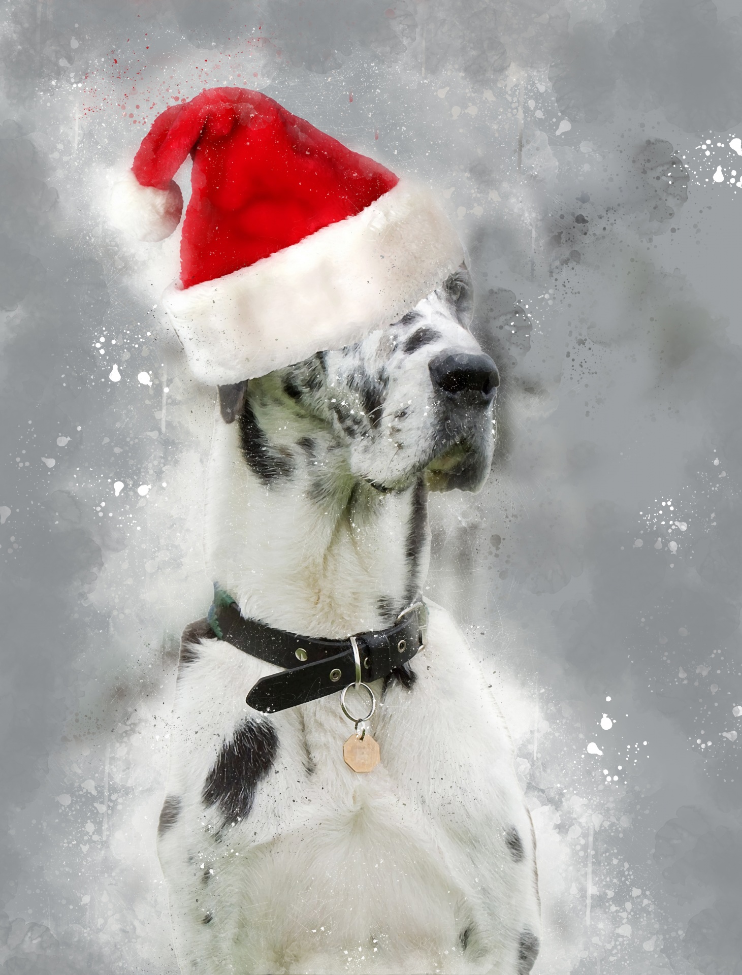 great dane great dane christmas dog hat free photo