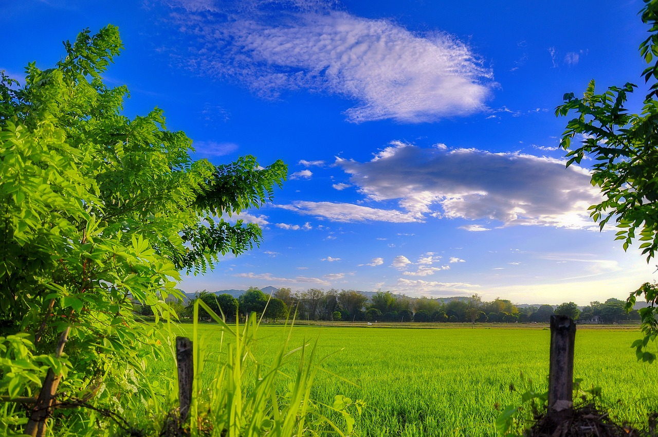 great prints philippines  george paris  tropical landscape free photo