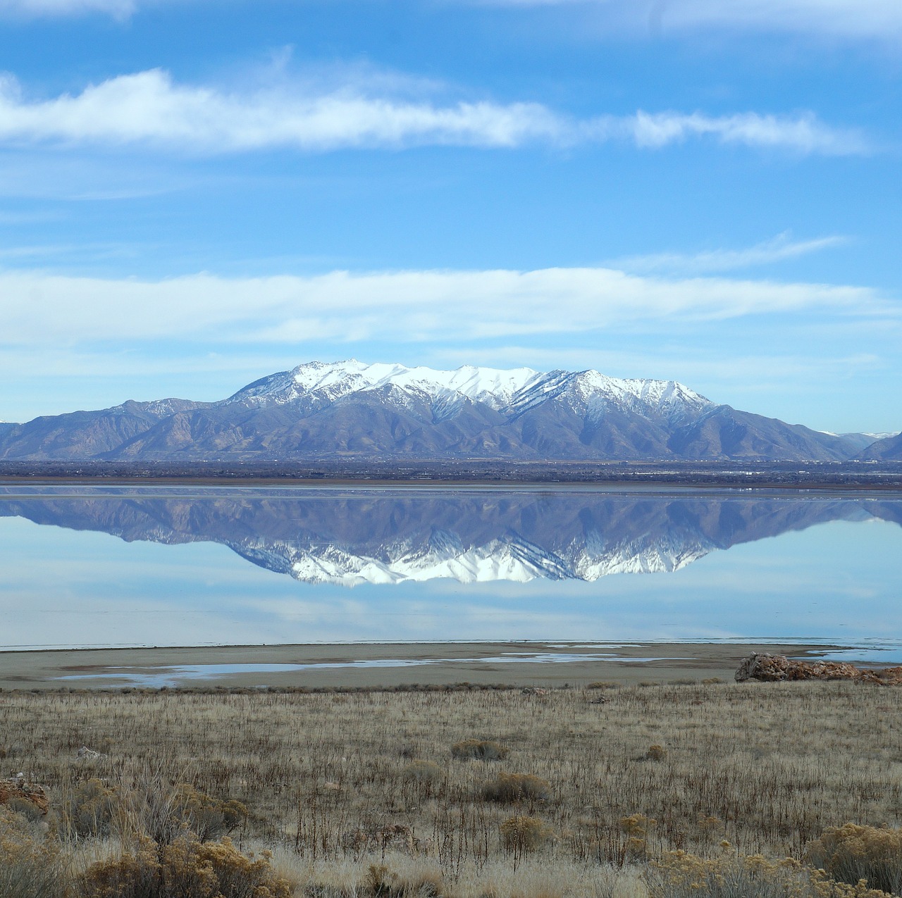 great salt lake antelope island utah free photo