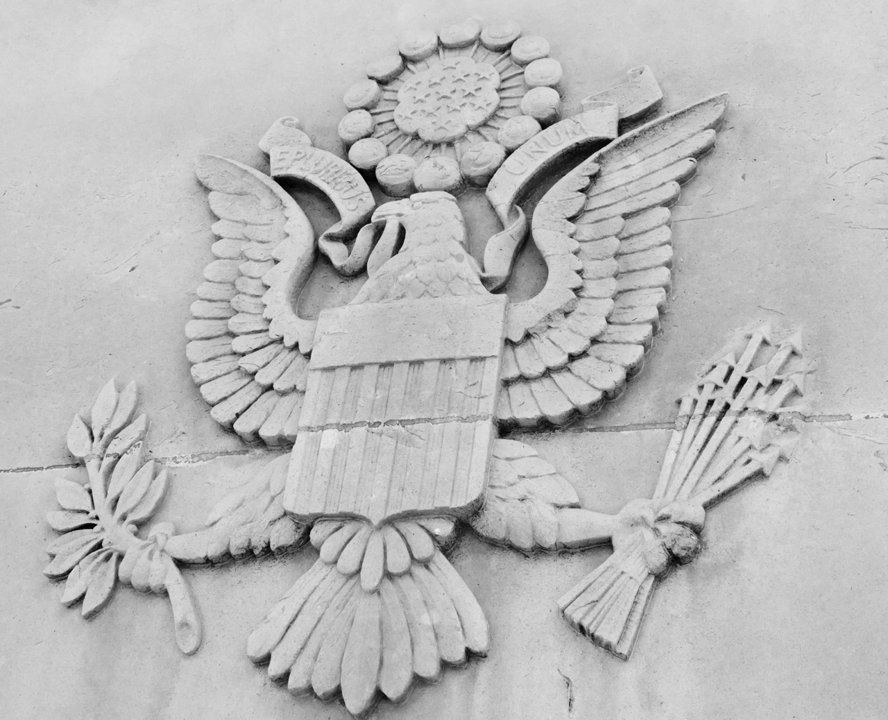 america american eagle free photo