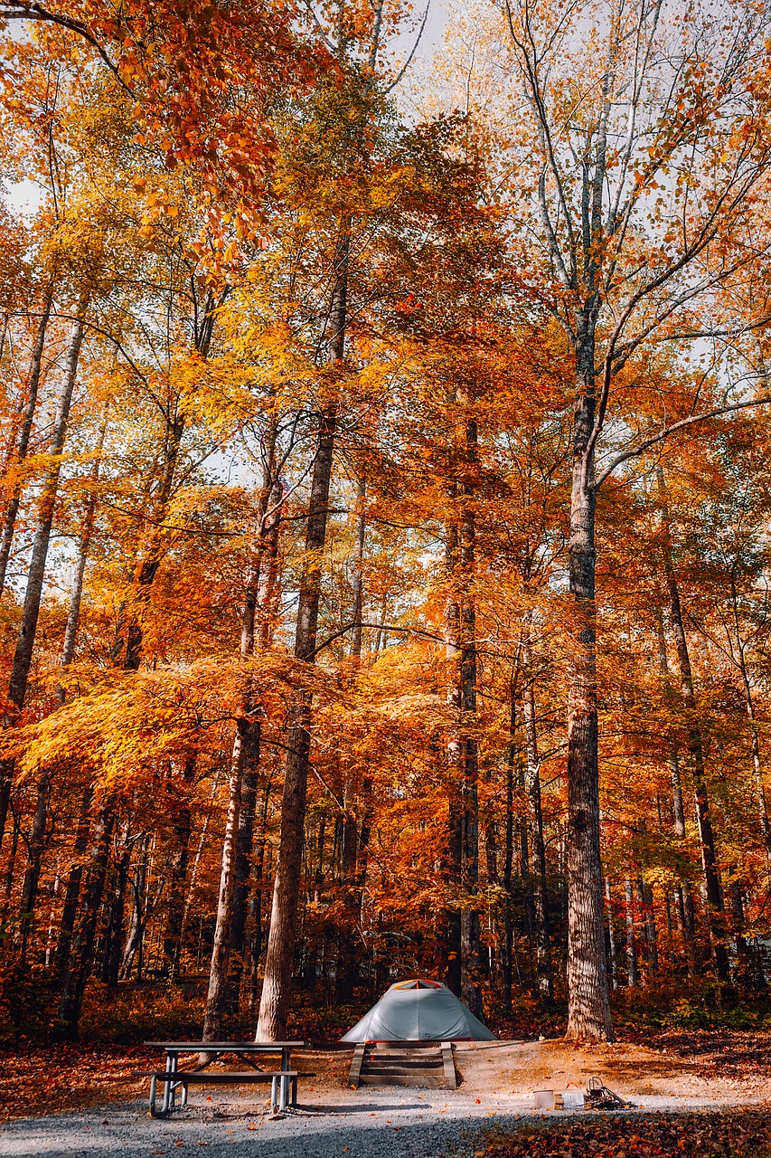 great smoky mountains national park tennessee free photo