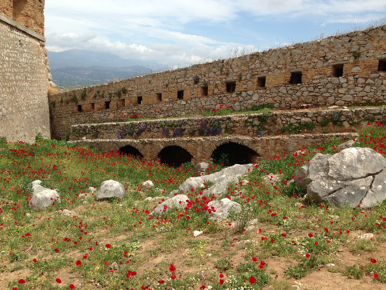 greece flower wall free photo