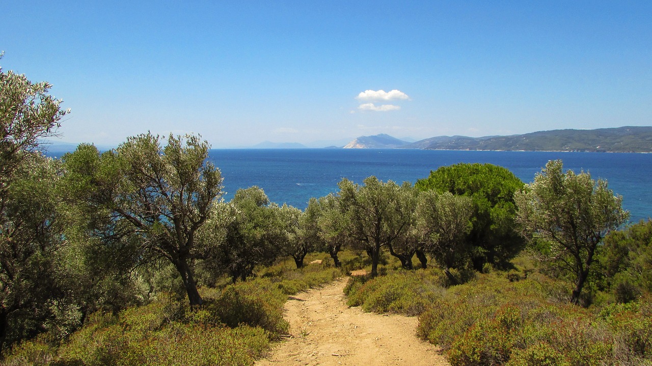 greece skiathos nature free photo