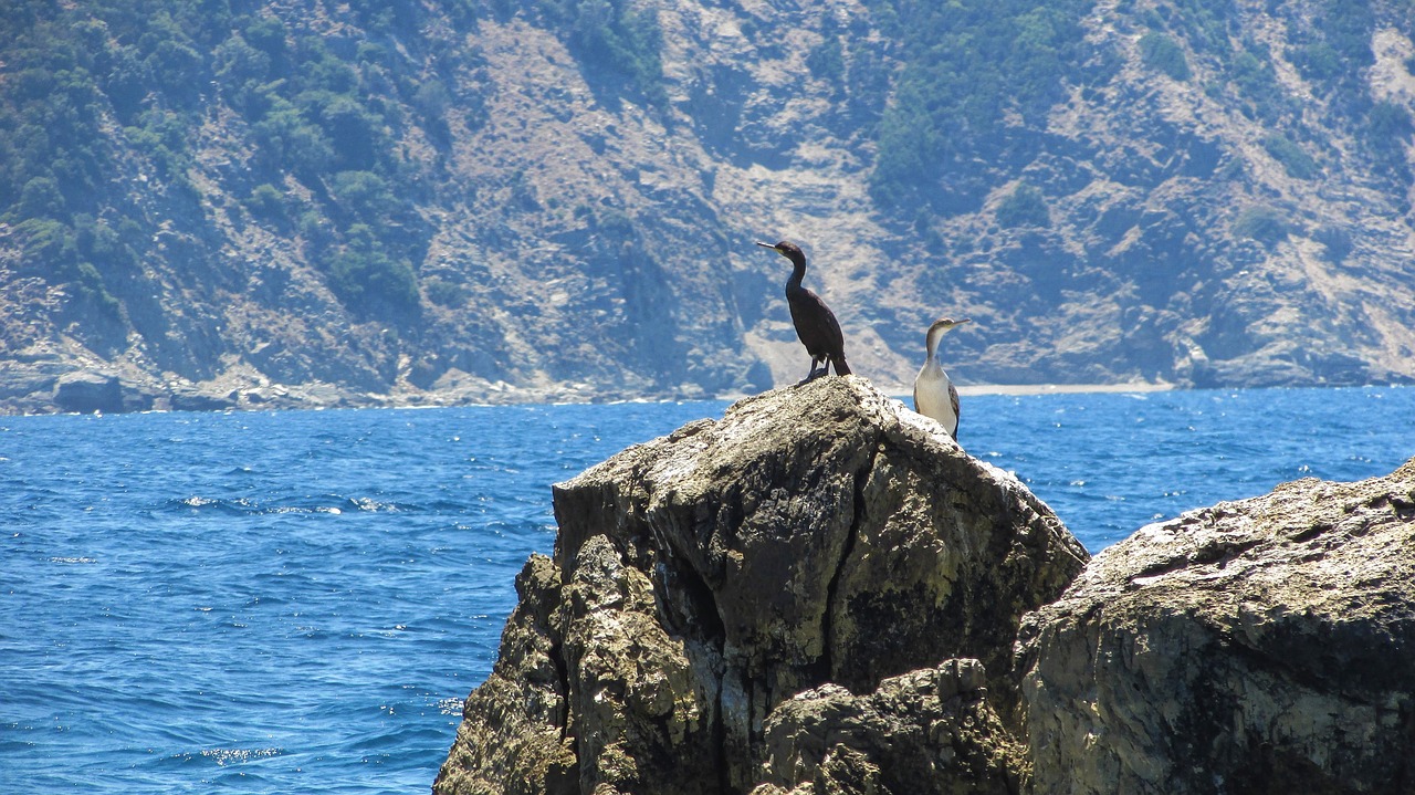 greece skiathos rock free photo