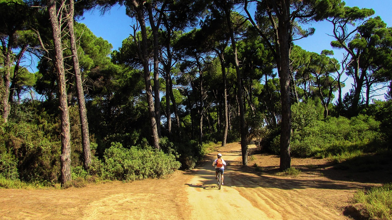 greece skiathos mandraki free photo