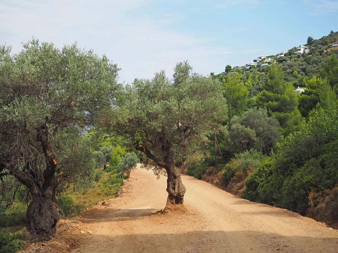 greece mountains way free photo