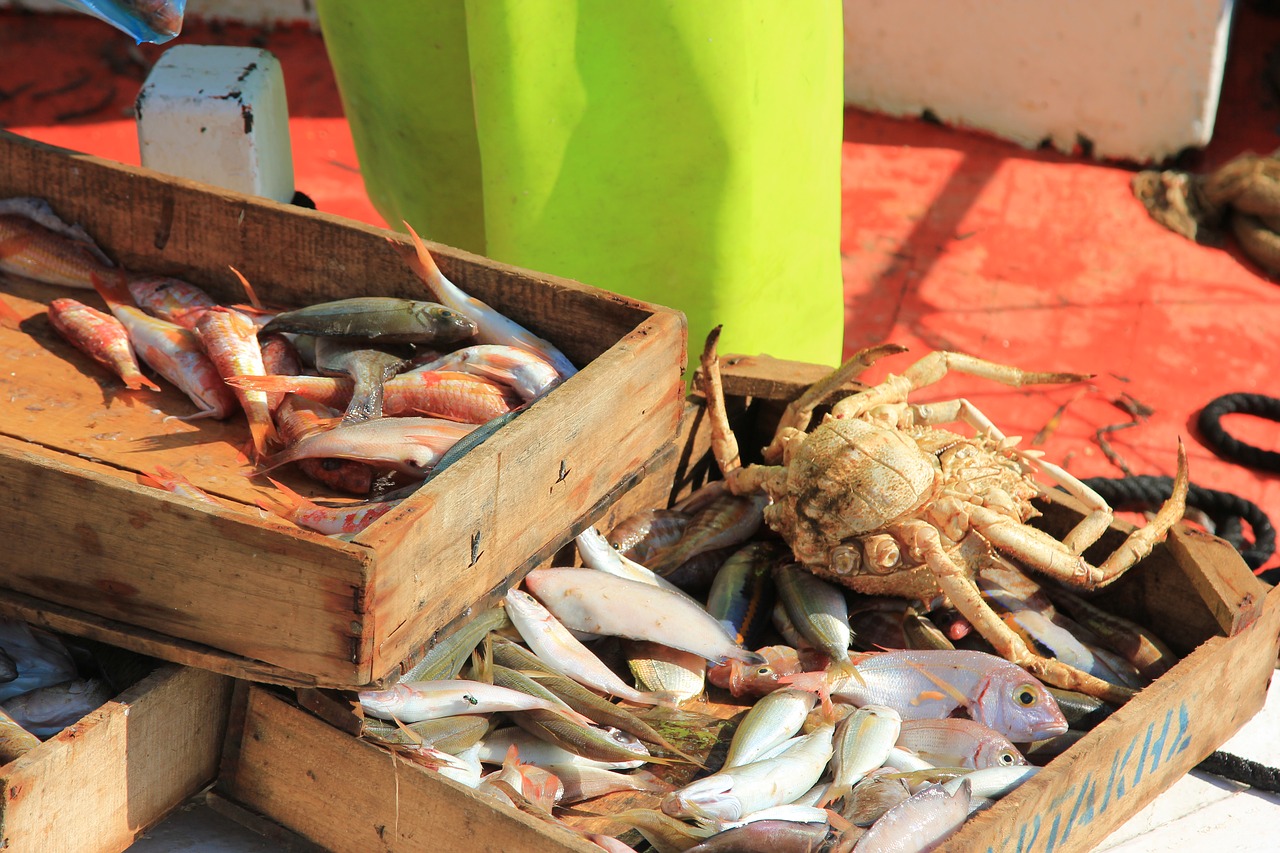 greece crab seafood free photo