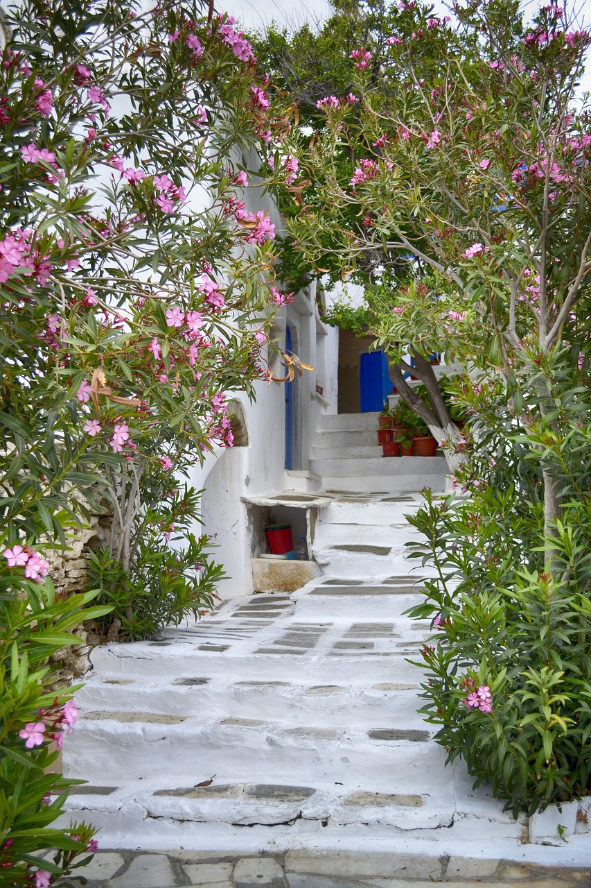 greece  island  door free photo