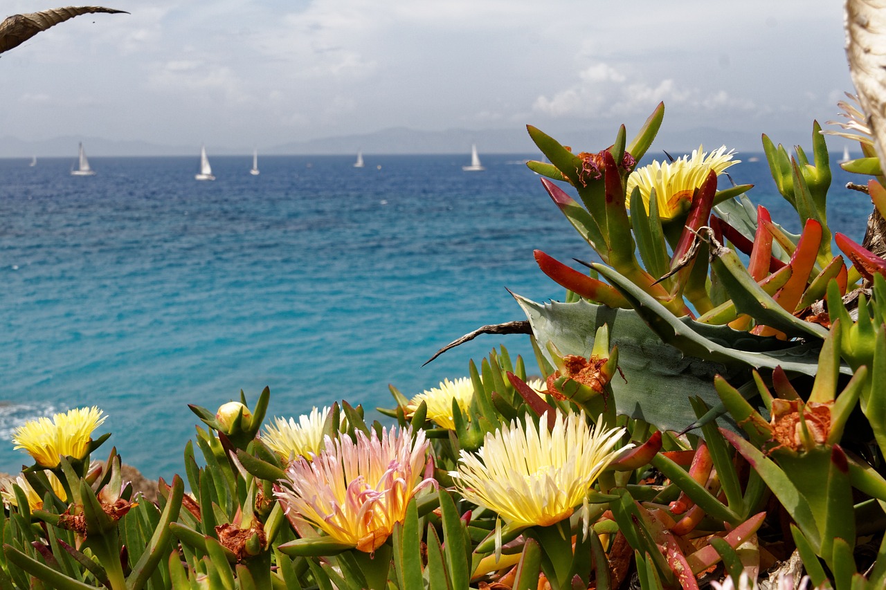 greece rhodes sea free photo