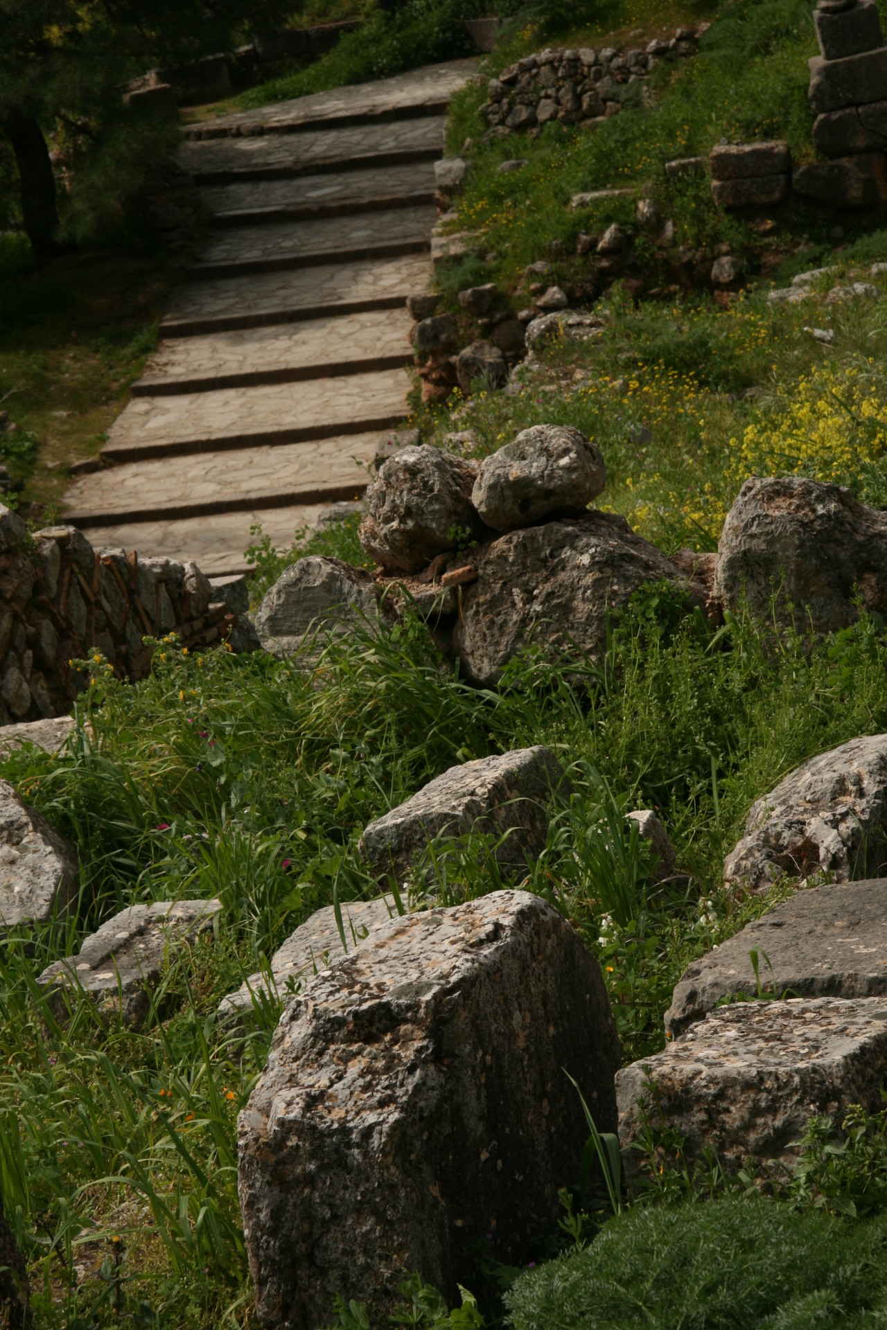 greece delphi ruins free photo