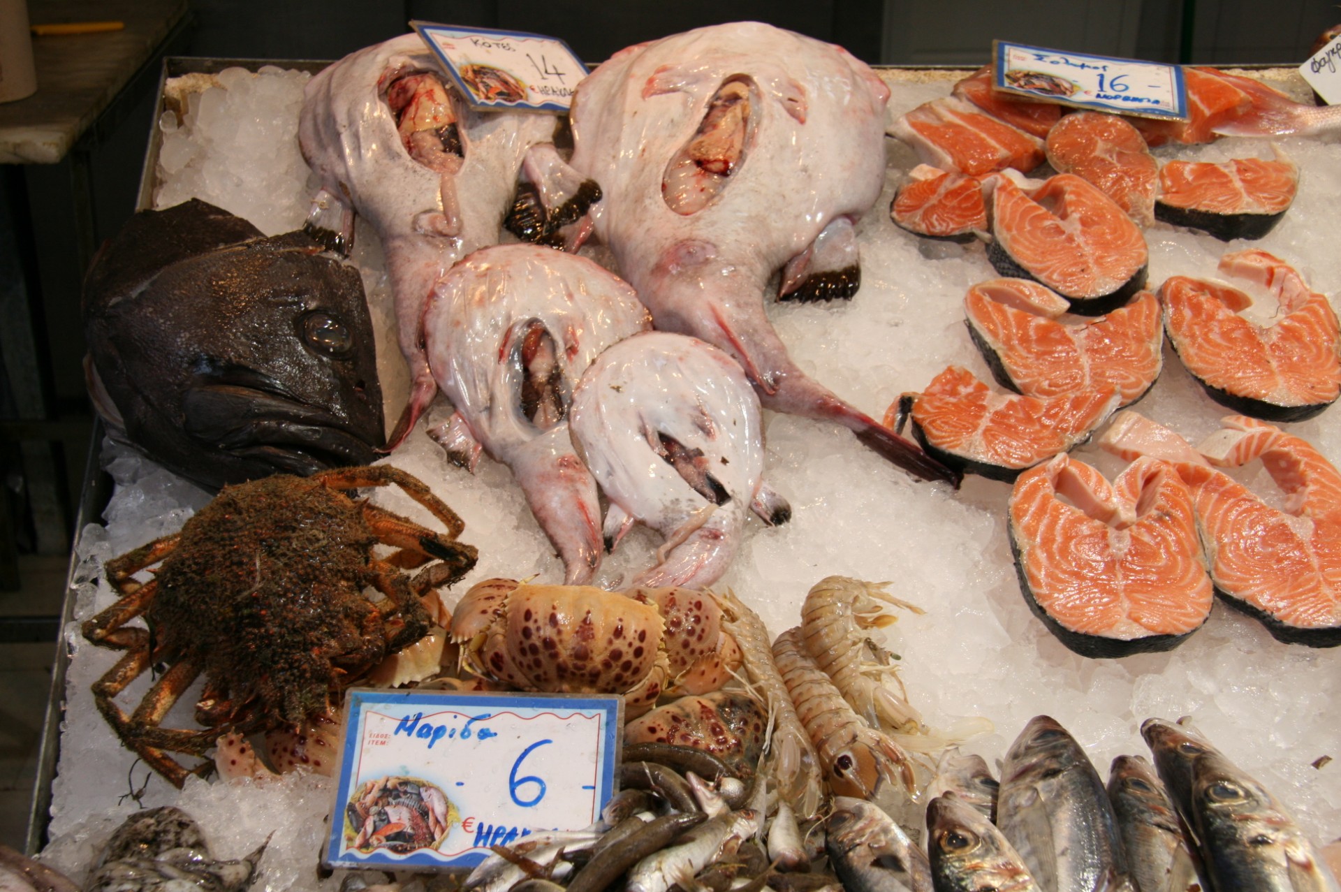 greece fish market free photo