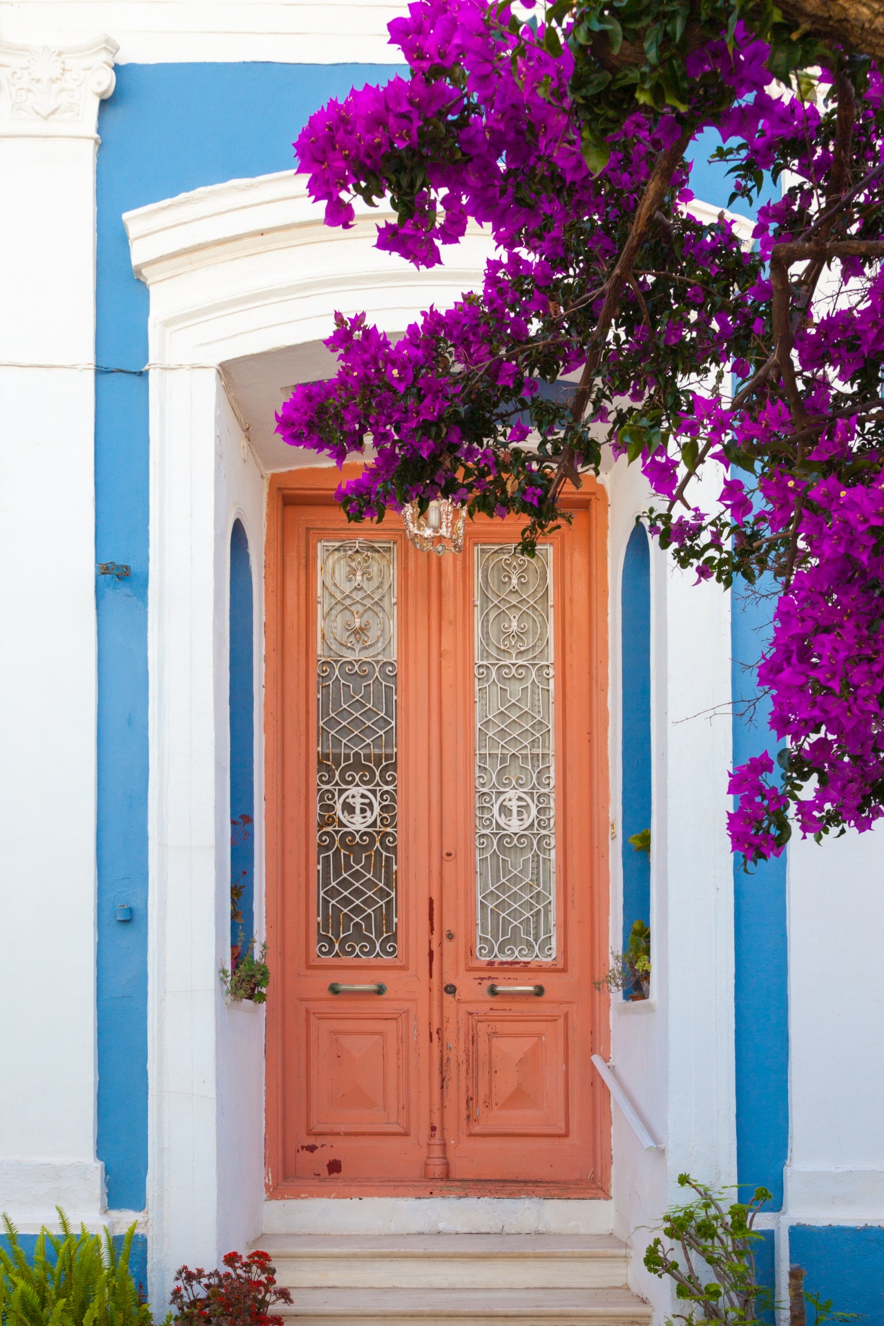 Edit free photo of Architecture,blue,bougainvillea,door,doors - needpix.com