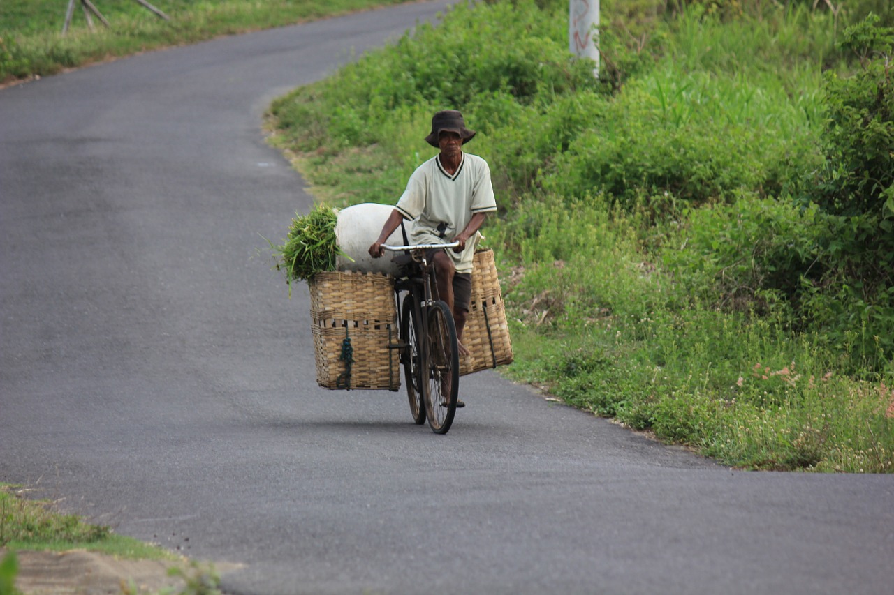 bicycle green outdoor free photo