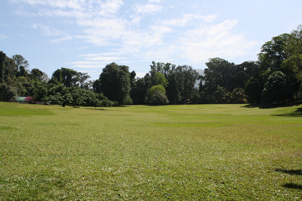 park prato day light free photo