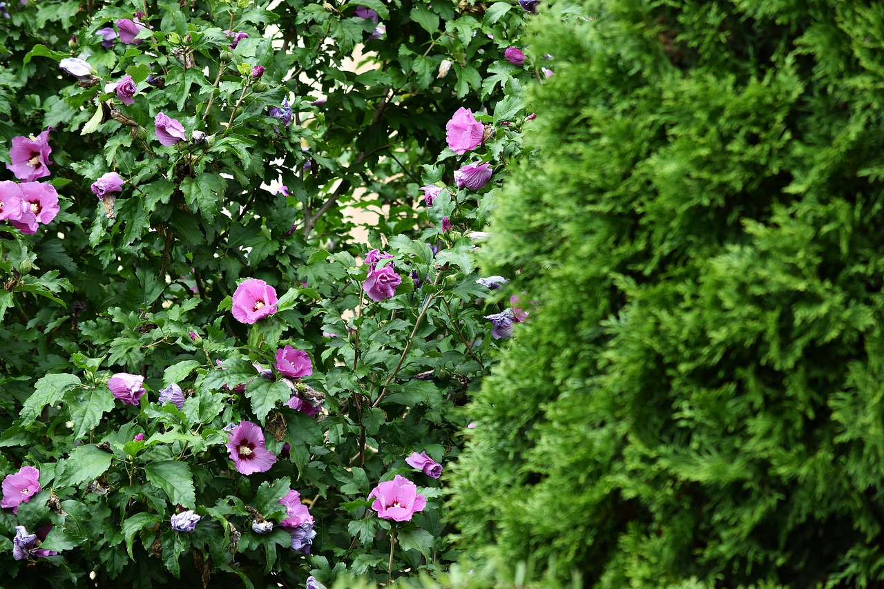 green flower nature free photo