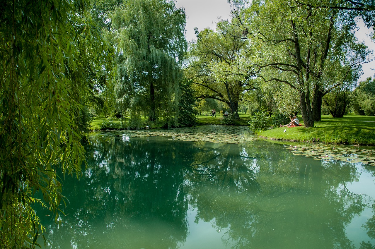 green park water free photo