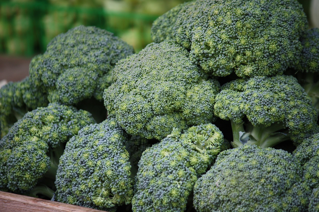 green broccoli healthy free photo