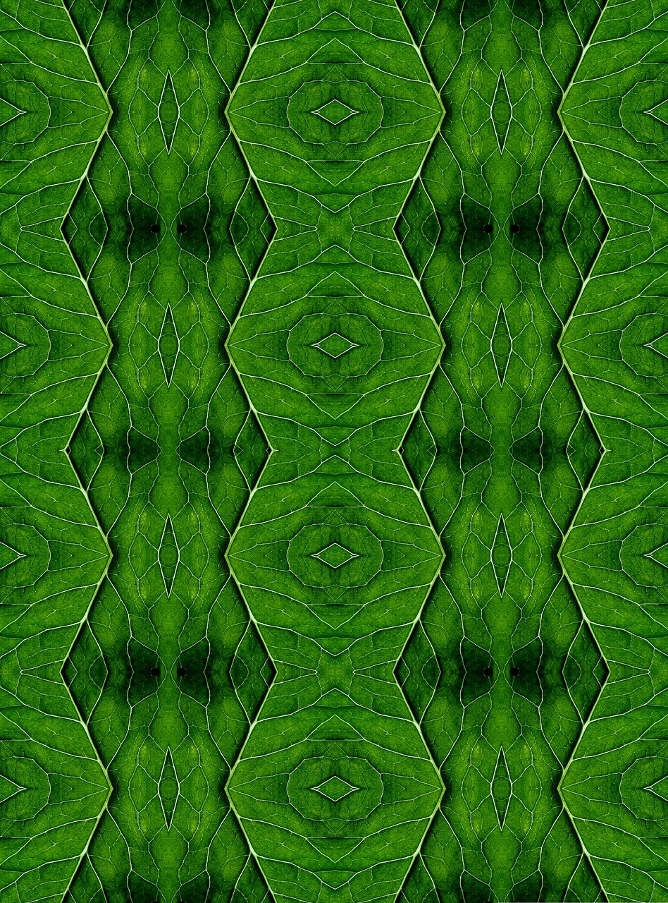 green wallpaper texture free photo