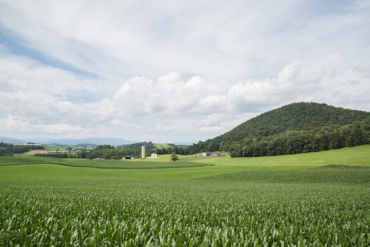 green land sky free photo